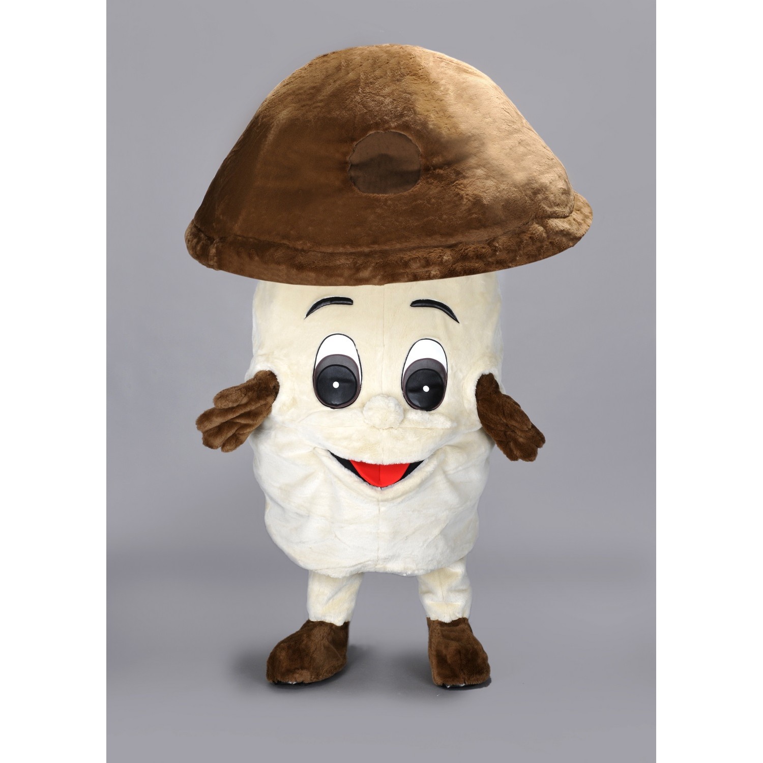Mushroom Mascot Costume
